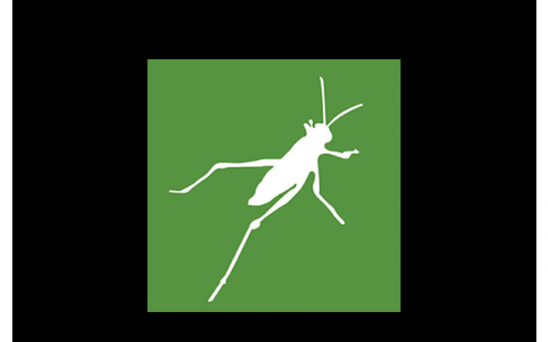 Grasshopper Tutorials